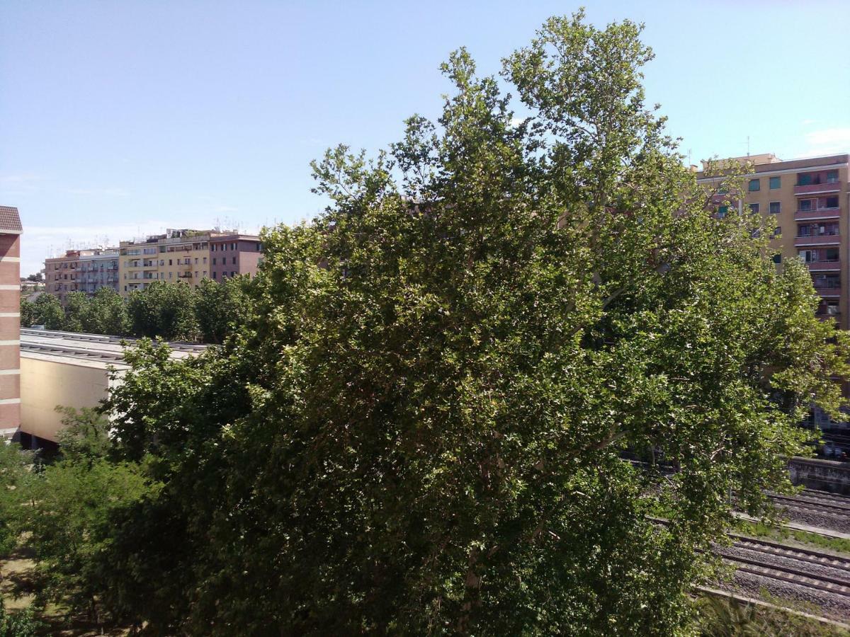 Ostiense Guest House Roma Dış mekan fotoğraf